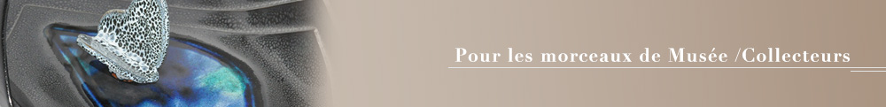 Pour les morceaux de Musée /Collecteurss
